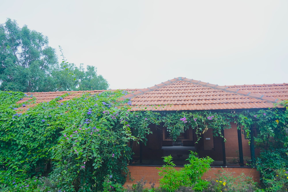 Vaidyagrama Ayurveda Healing Village-View-3